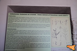 Santa Ninfa 19 11 2016 182.jpg